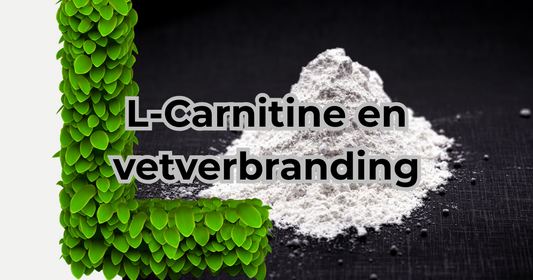 L-Carnitine en vetverbranding hoe werkt het en wat mag je verwachten