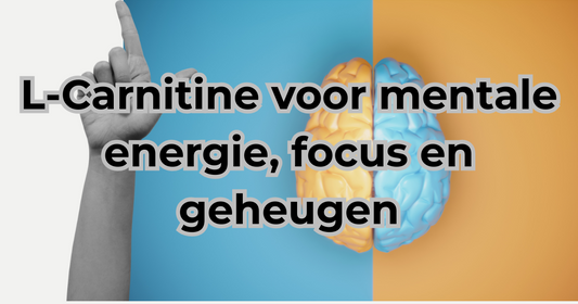 L-Carnitine supplement voor mentale focus en vetverbranding