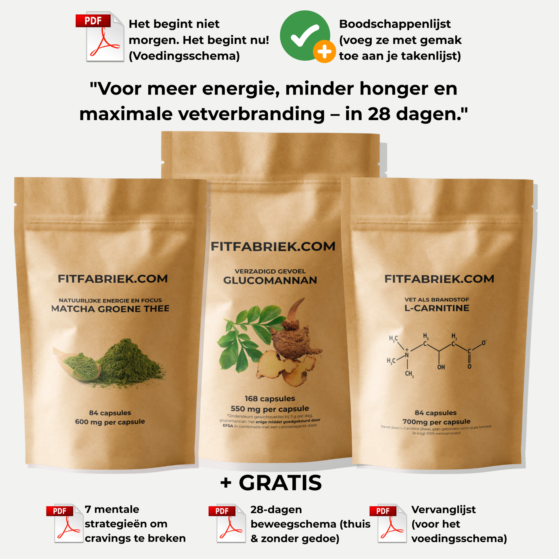 afslankpakket van 28 dagen met voedingsschema, 84 capsules L-Carnitine, 168 capsules Glucomannan en 84 capsules Matcha groene thee